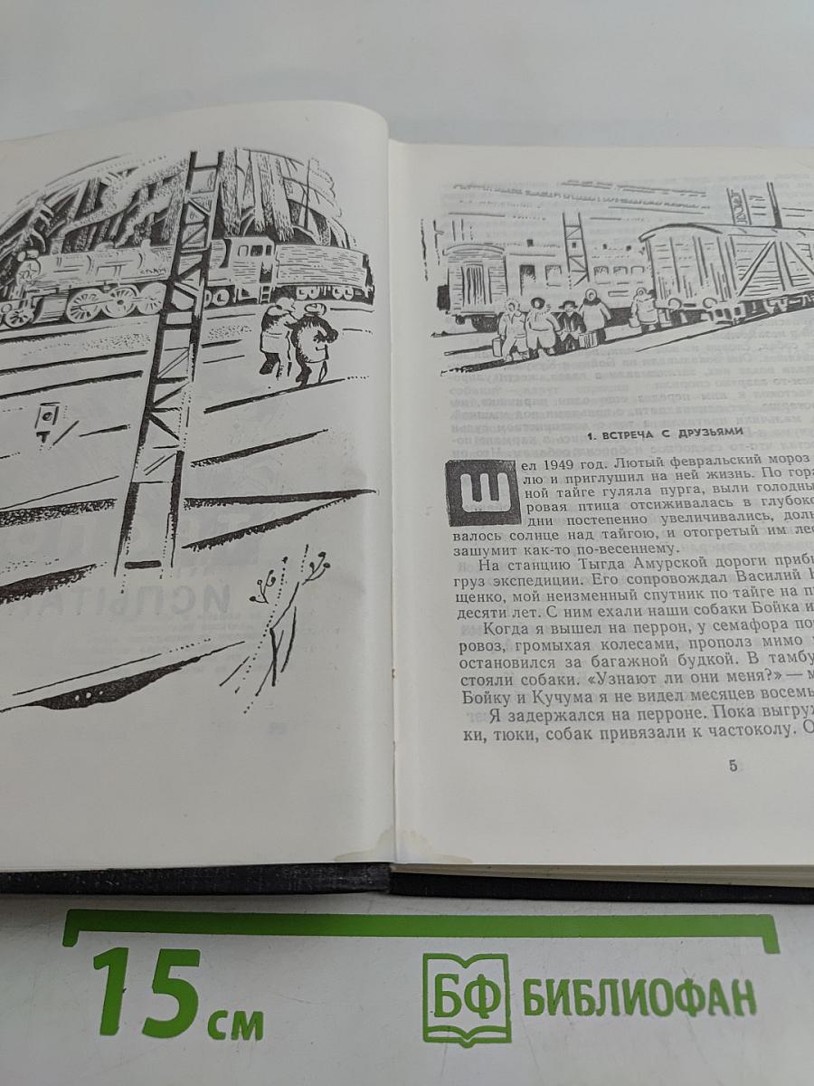 Тропою испытаний. Пашка из Медвежьего лога