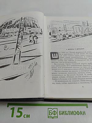 Тропою испытаний. Пашка из Медвежьего лога