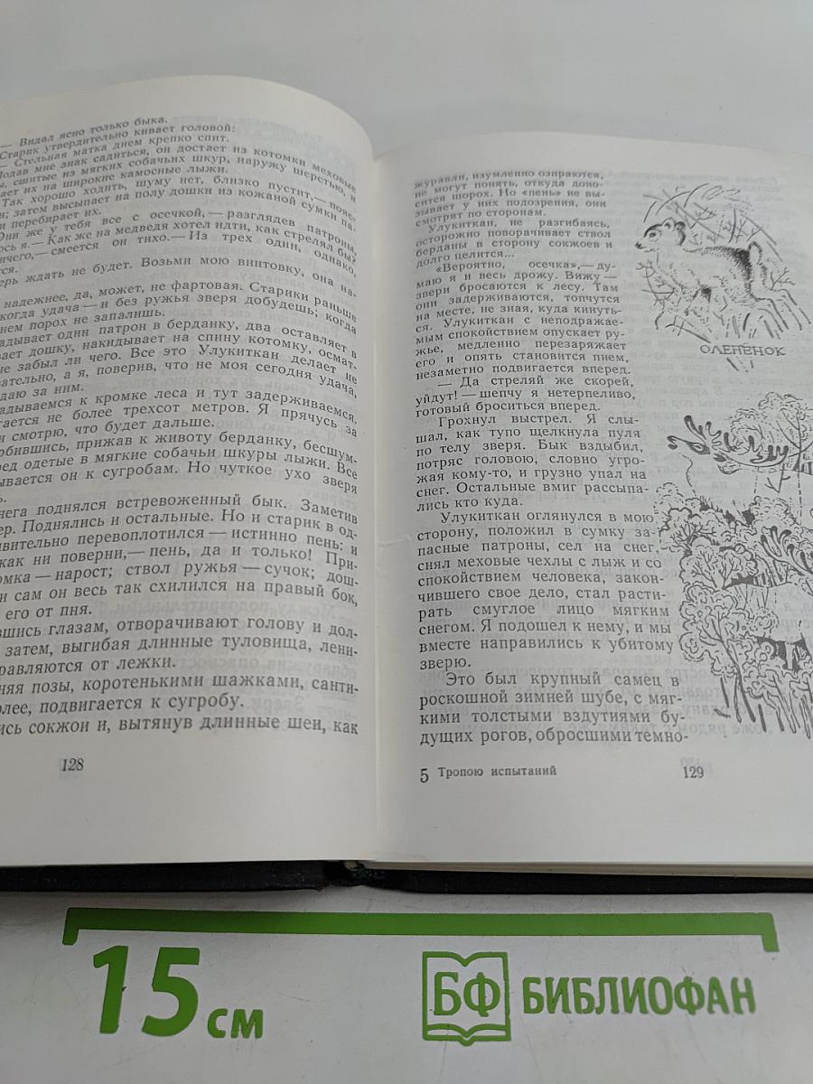 Тропою испытаний. Пашка из Медвежьего лога