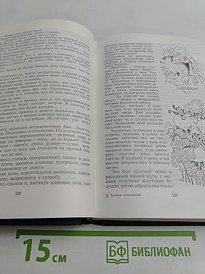 Тропою испытаний. Пашка из Медвежьего лога
