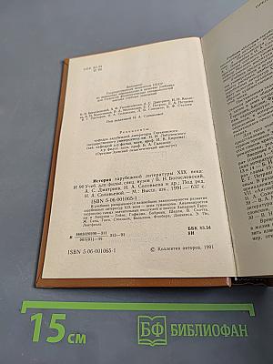 История зарубежной литературы XIX века