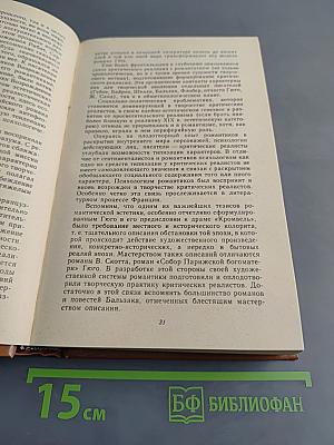 История зарубежной литературы XIX века