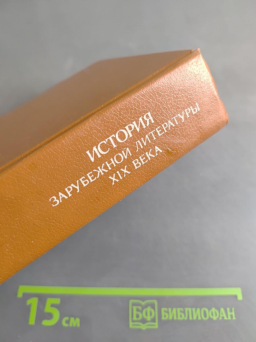 История зарубежной литературы XIX века