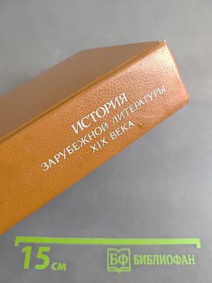 История зарубежной литературы XIX века