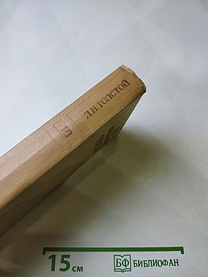 Повести и рассказы 1872 – 1903. Том 10