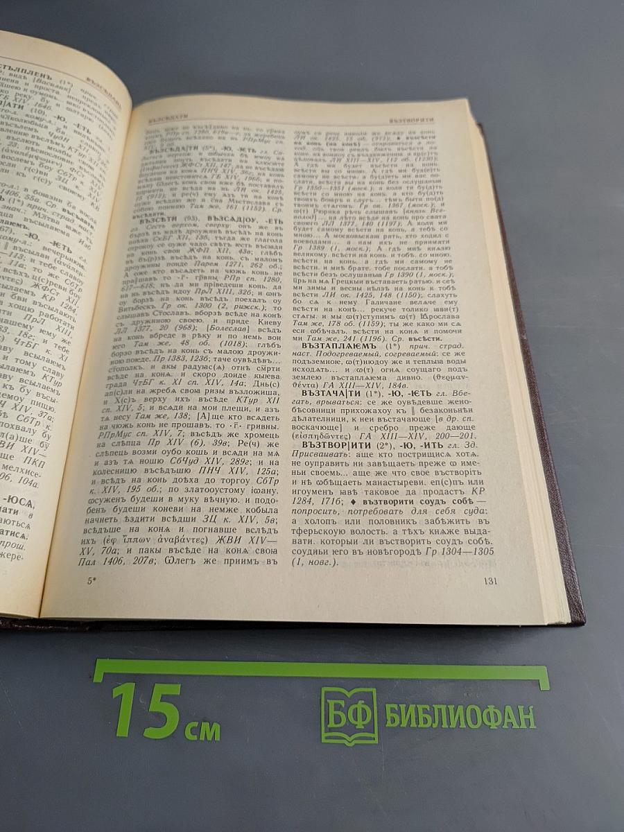 Словарь древнерусского языка (XI–XIV вв.). Том II