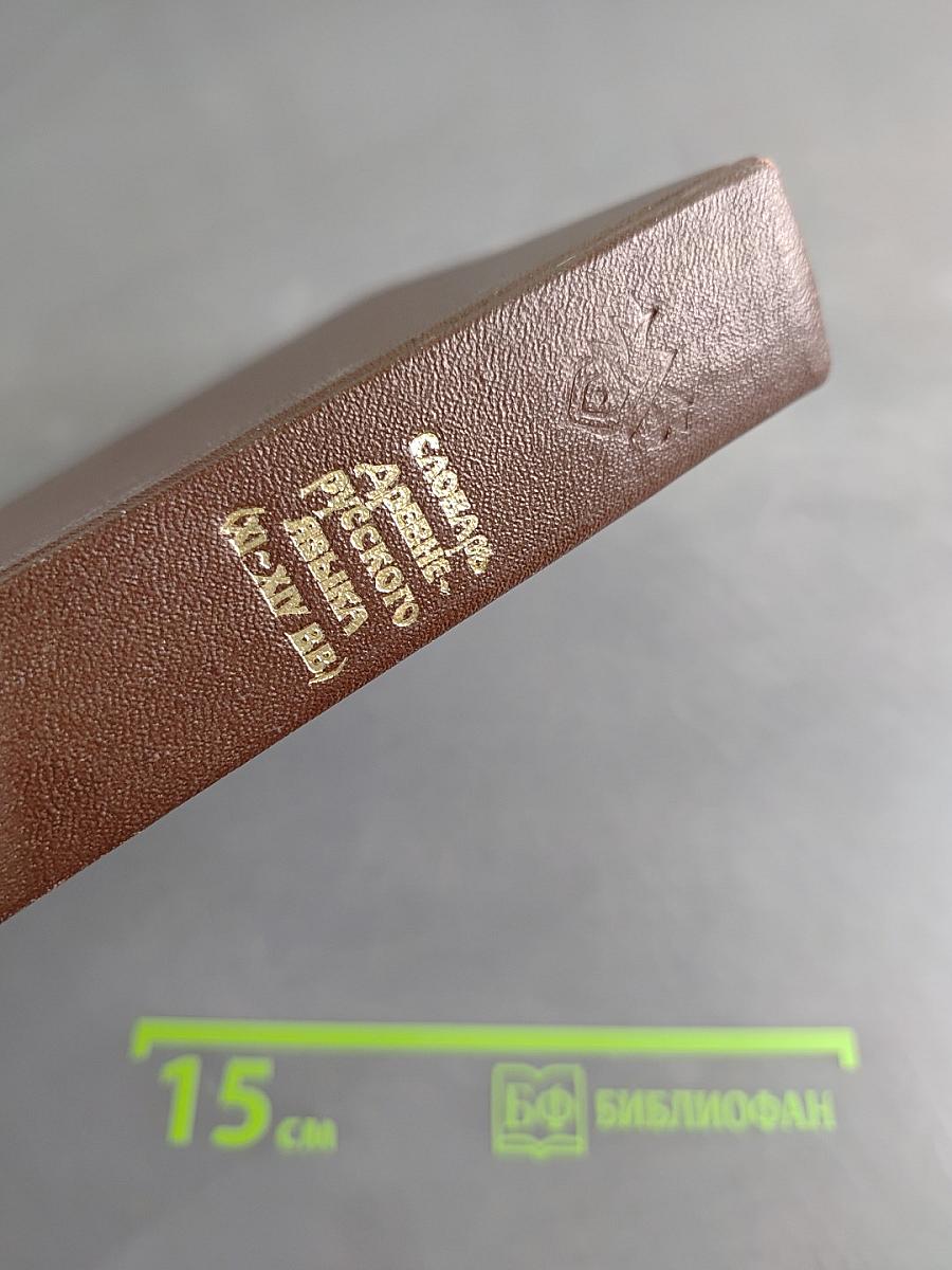 Словарь древнерусского языка (XI–XIV вв.). Том II