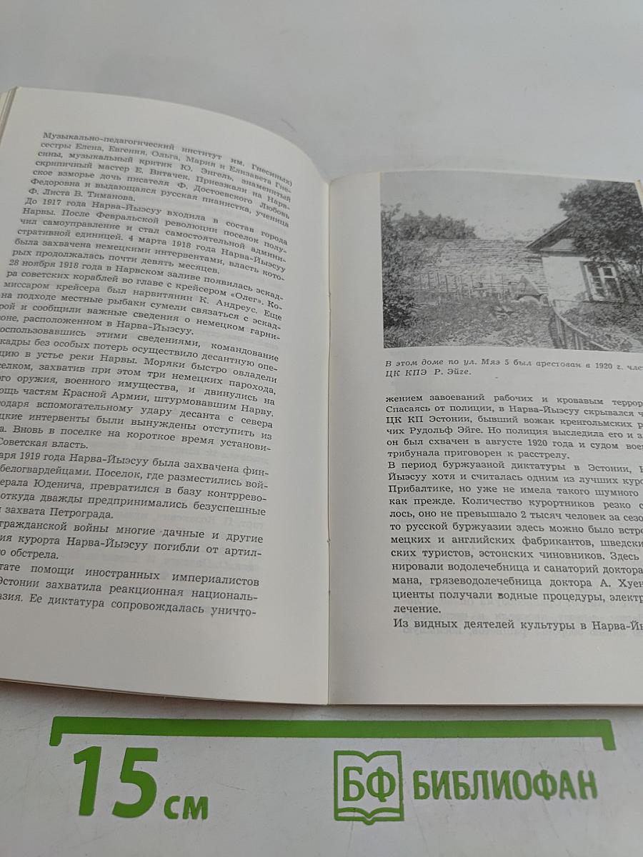 Нарва-Йыэсуу