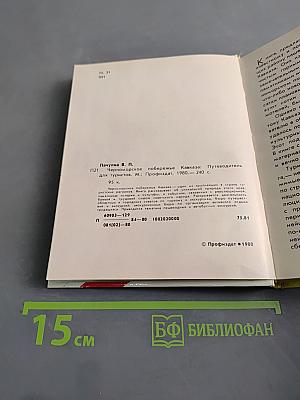 Черноморское побережье Кавказа
