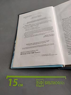 Misterium Tremendum. Тайна, приводящая в трепет. Источник счастья. Книга вторая