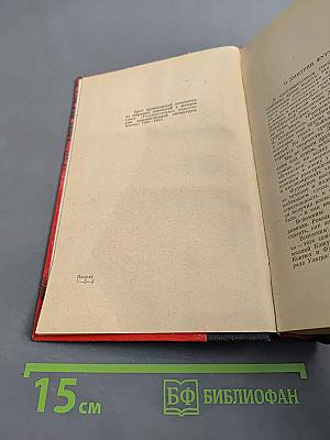 Чапаев. Красный десант. Мятеж