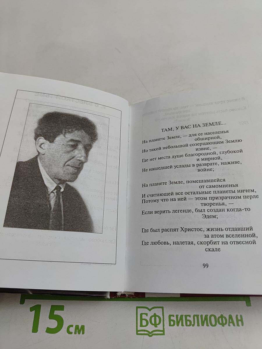Стихотворения. Стеклянная дверь