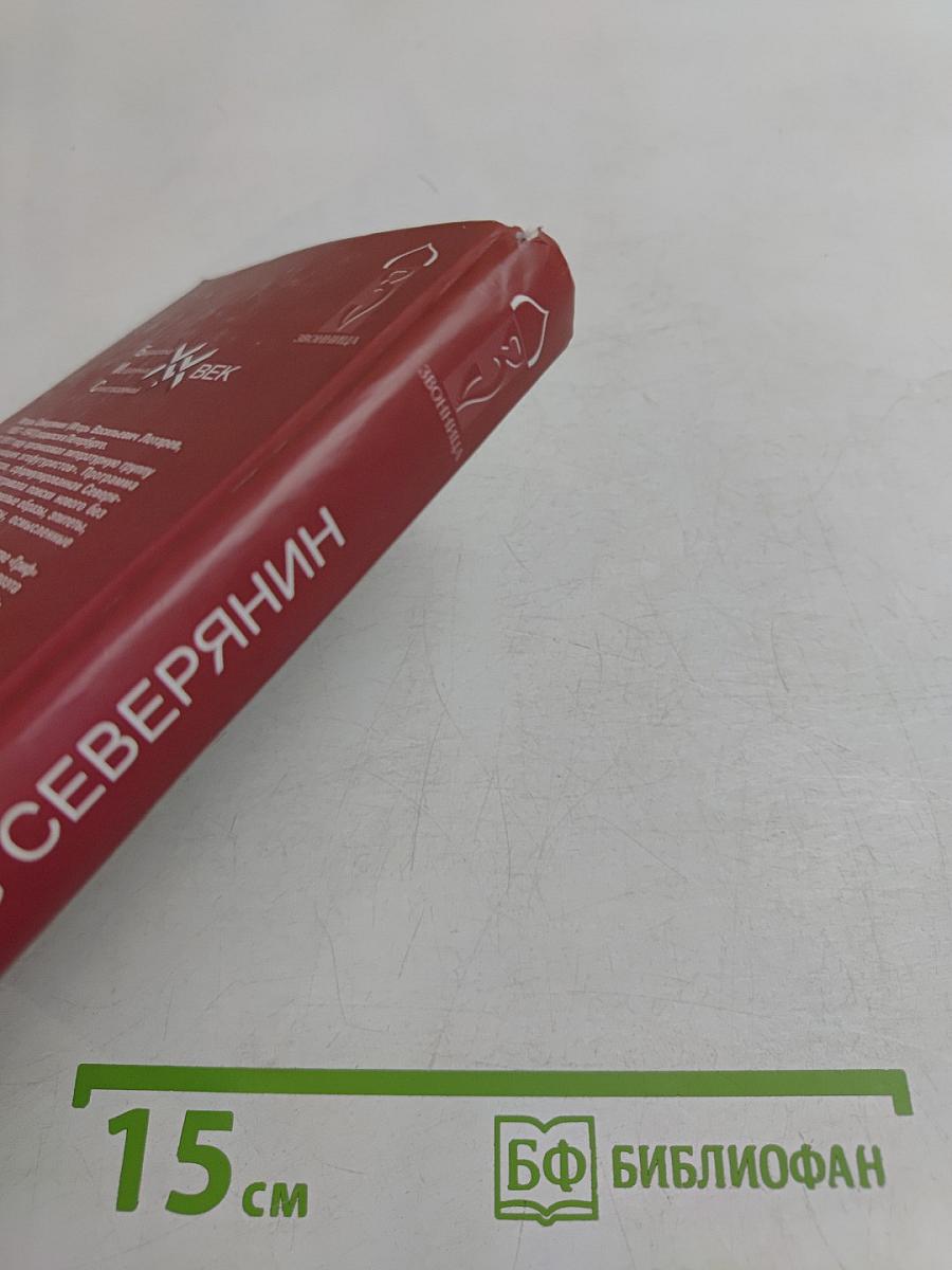 Стихотворения. Стеклянная дверь