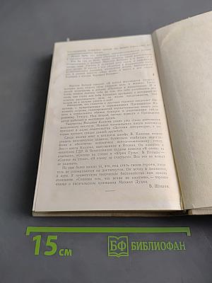 Я спешу за счастьем