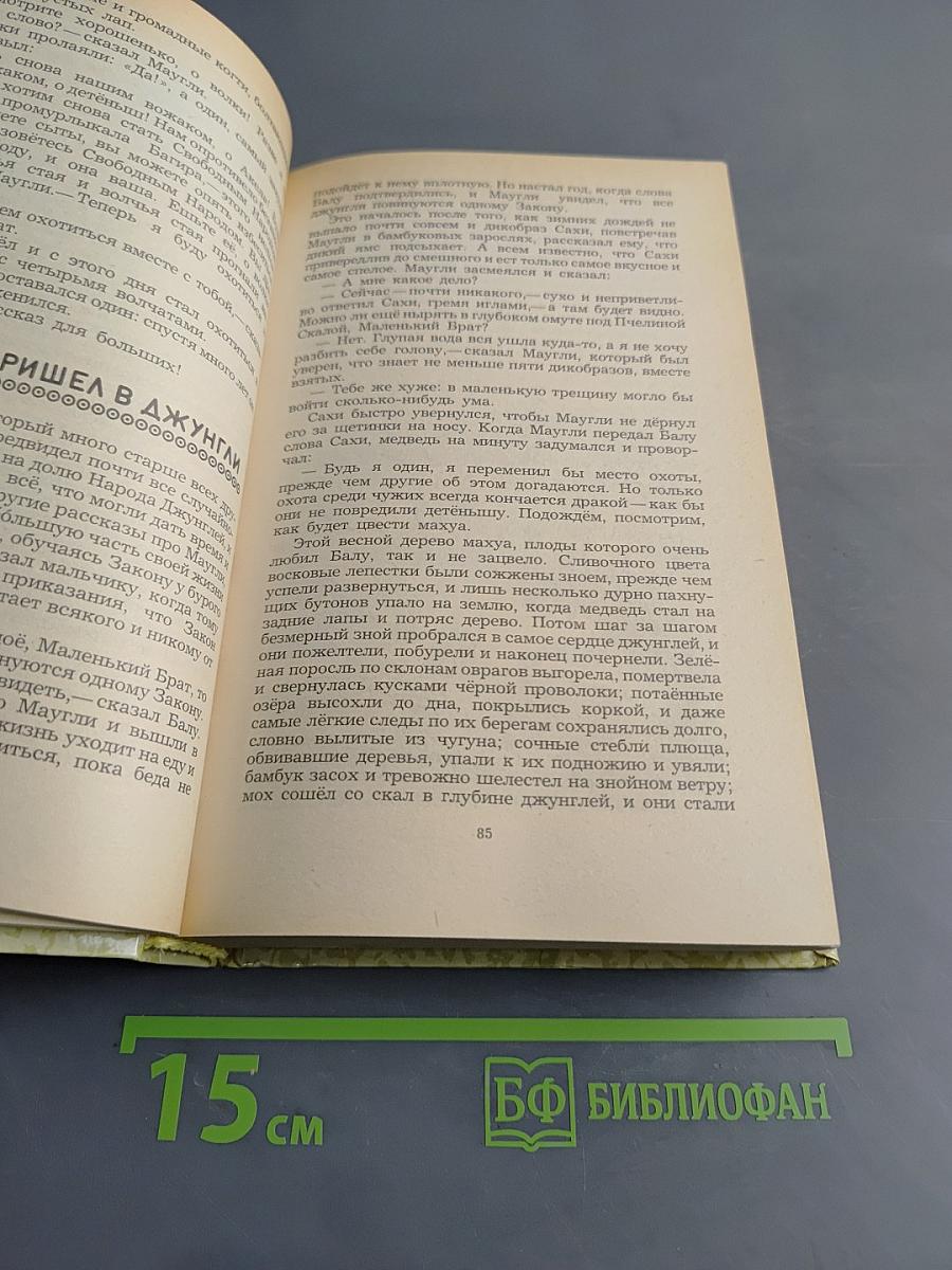 Маугли. Малыш и Карлсон. Винни-Пух и все-все-все