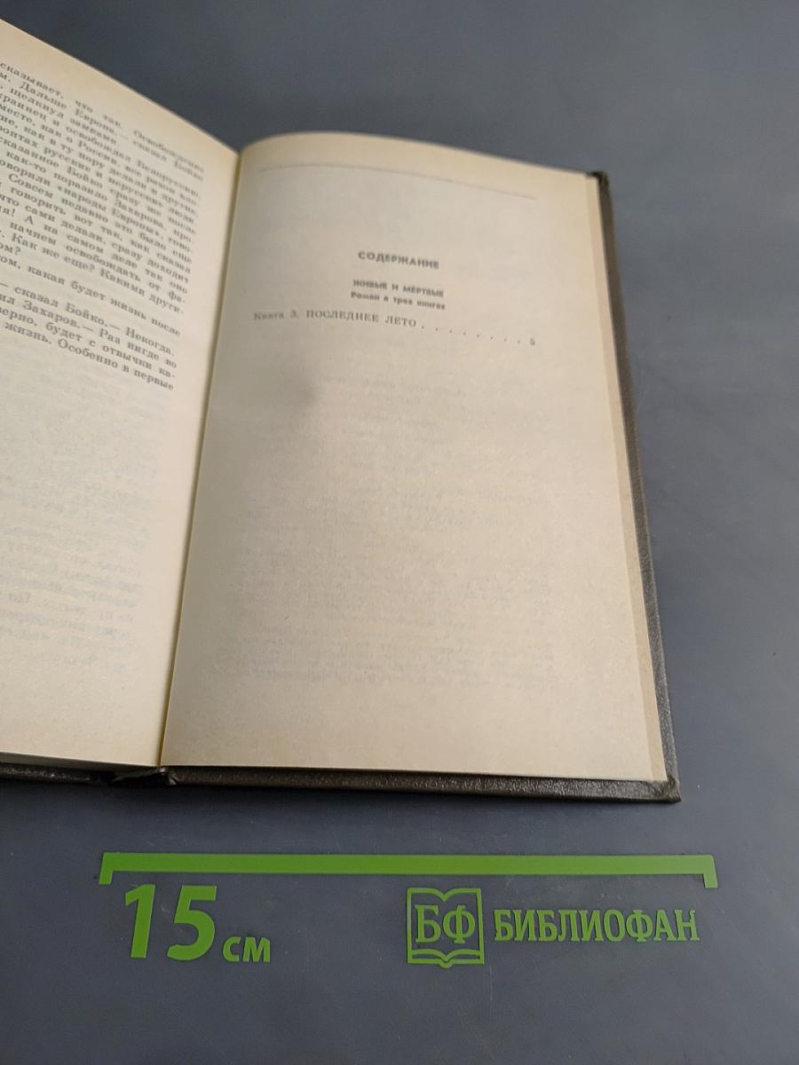 Живые и мертвые. Роман в трех книгах. Книга третья. Последнее лето