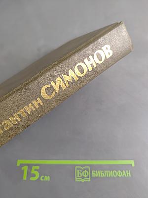 Живые и мертвые. Роман в трех книгах. Книга третья. Последнее лето