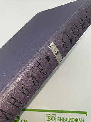 Энн Виккерс
