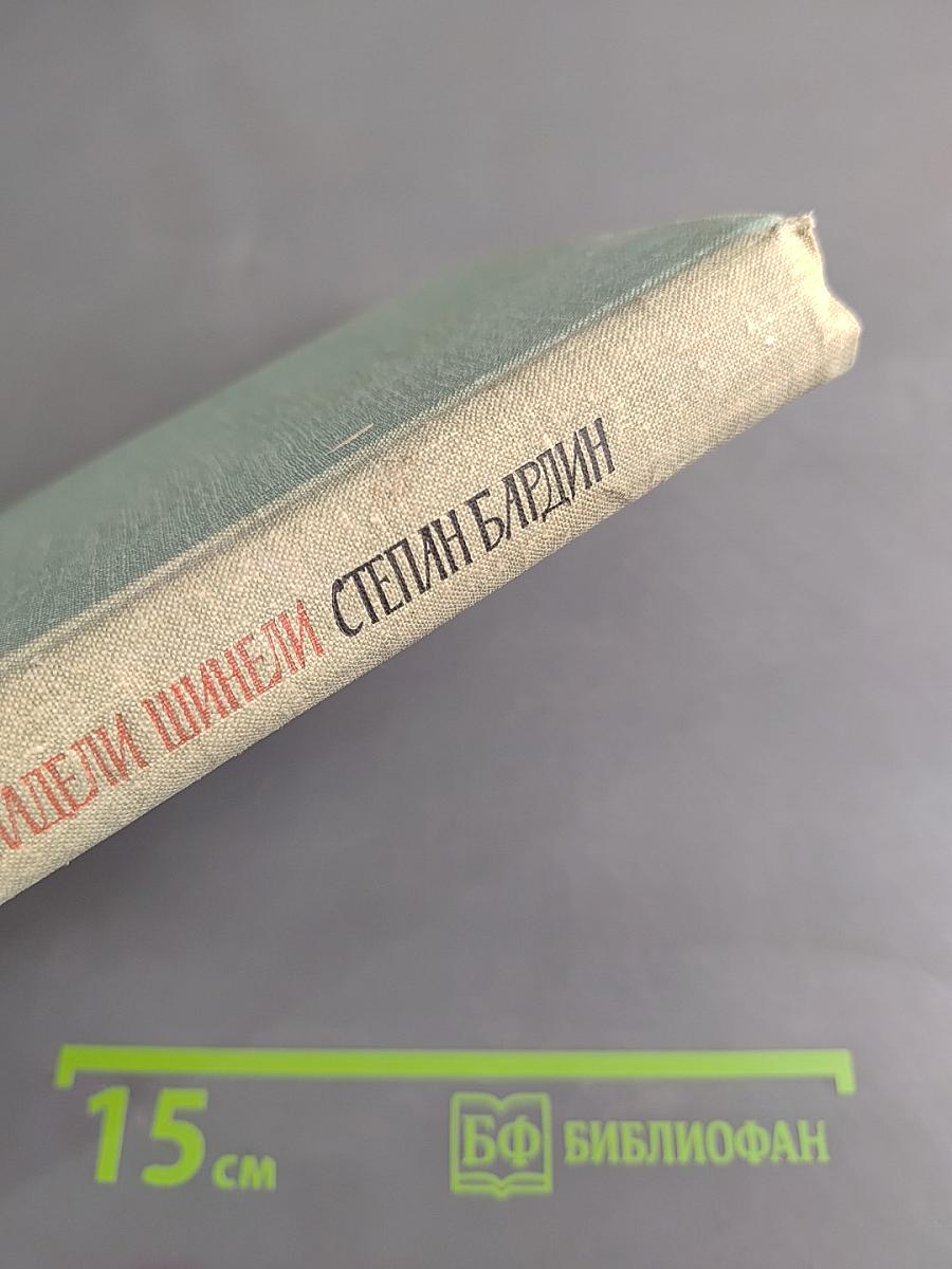 ...и шапские надели шинели