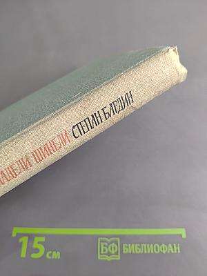 ...и шапские надели шинели