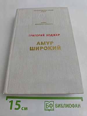 Амур широкий. Книга 2. Белая тишина