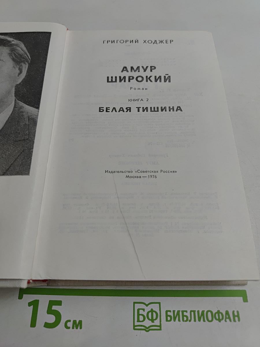 Амур широкий. Книга 2. Белая тишина