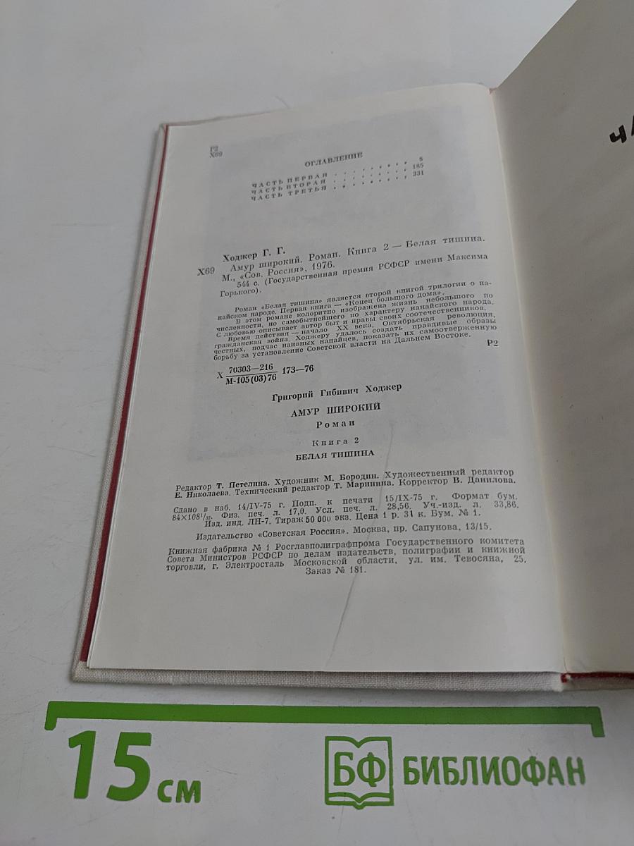 Амур широкий. Книга 2. Белая тишина