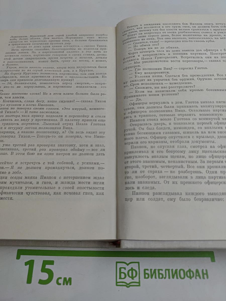 Амур широкий. Книга 2. Белая тишина