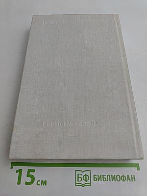 Амур широкий. Книга 2. Белая тишина
