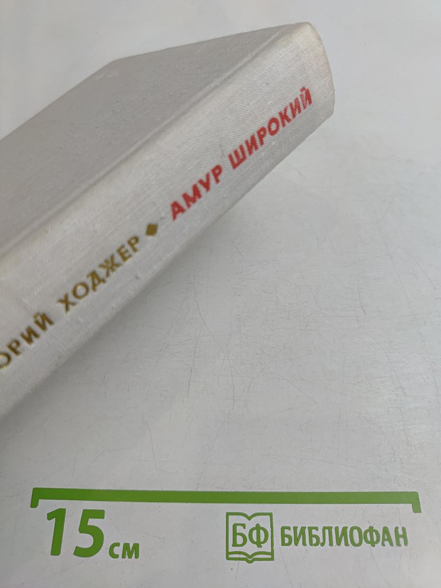 Амур широкий. Книга 2. Белая тишина