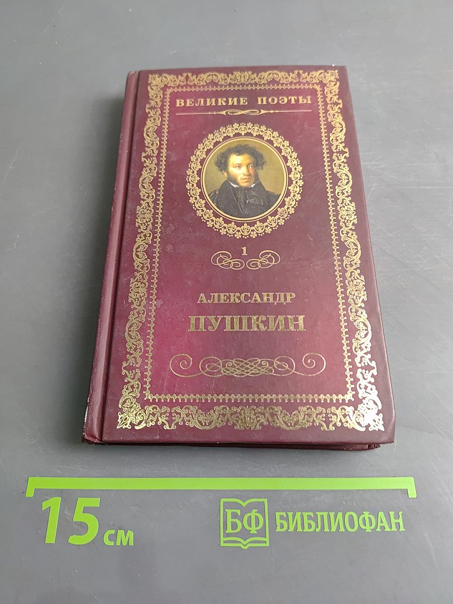 Александр Пушкин. Том 1