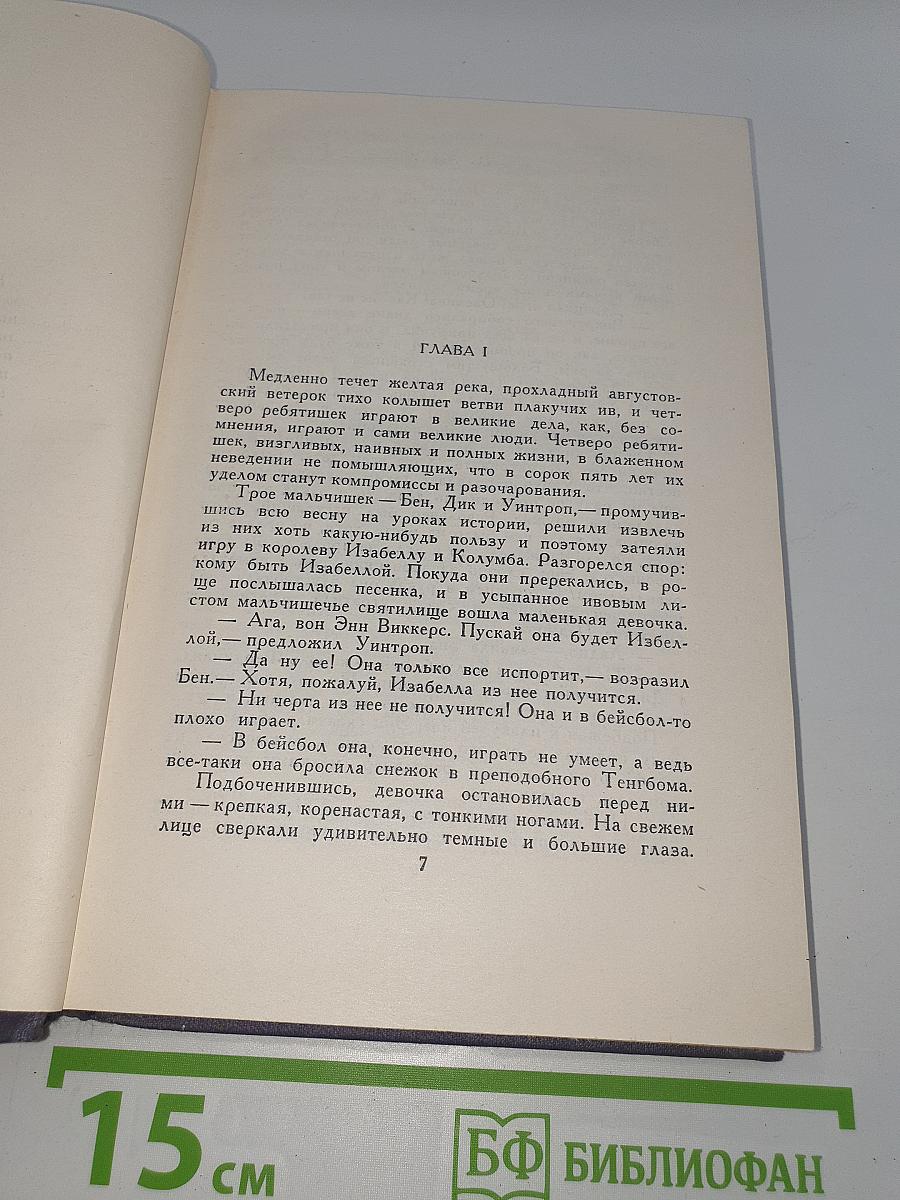 Энн Виккерс