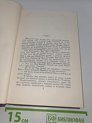 Энн Виккерс