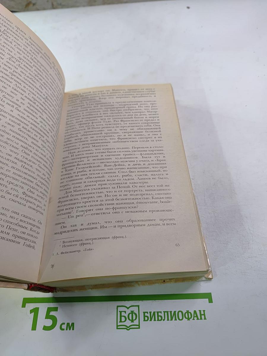 Гойя, или Тяжкий путь познания