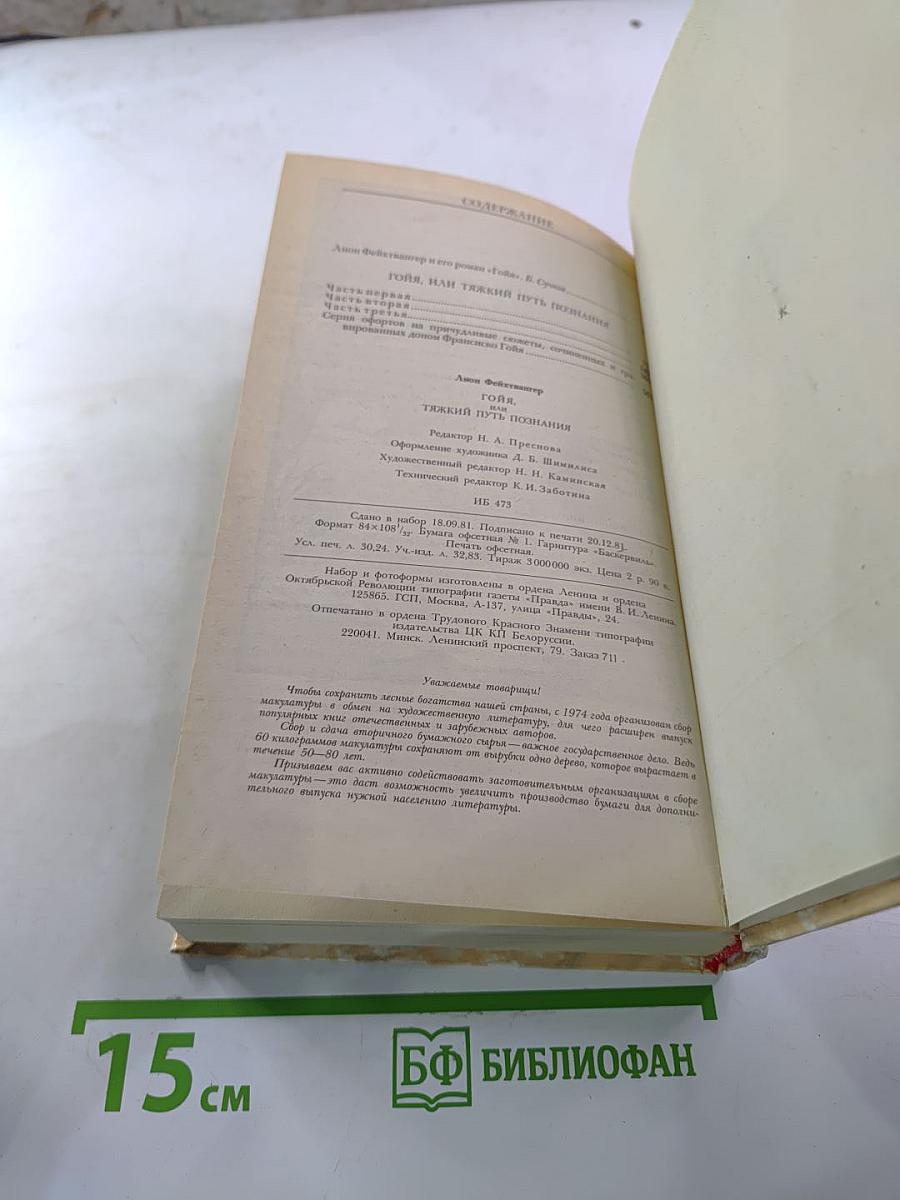 Гойя, или Тяжкий путь познания