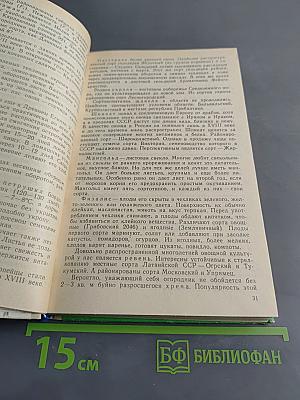 Огородничество