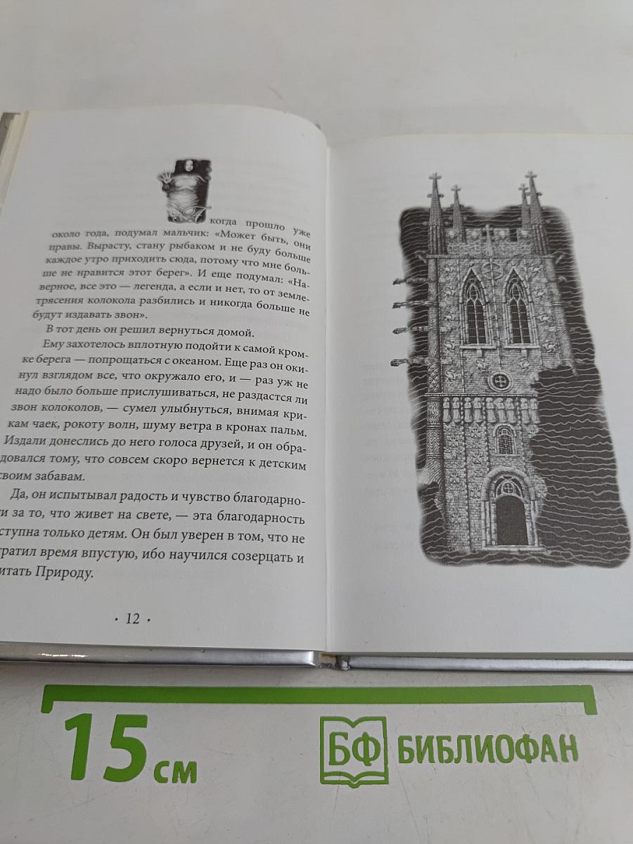 Книга воина света