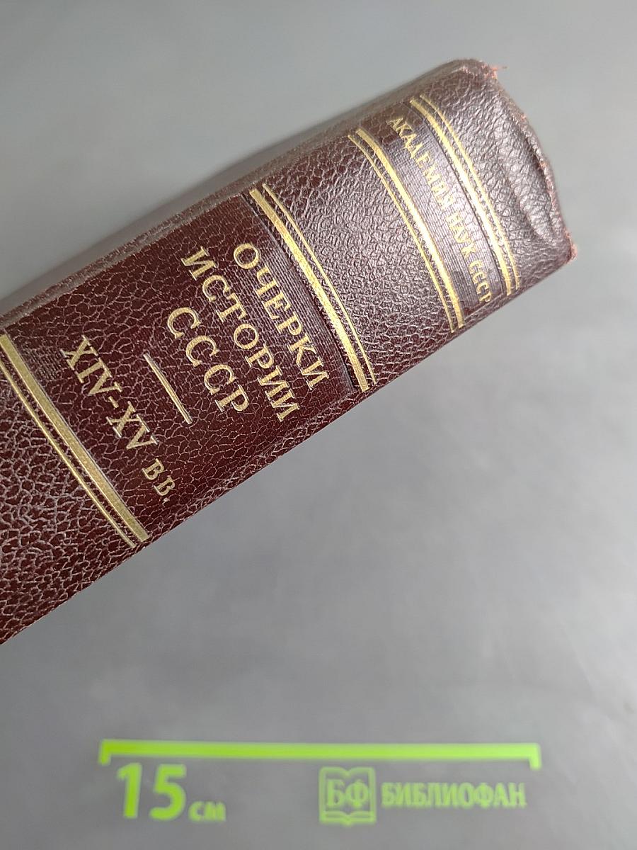 Очерки истории СССР. Период феодализма. IX-XV вв. В двух частях. Часть II
