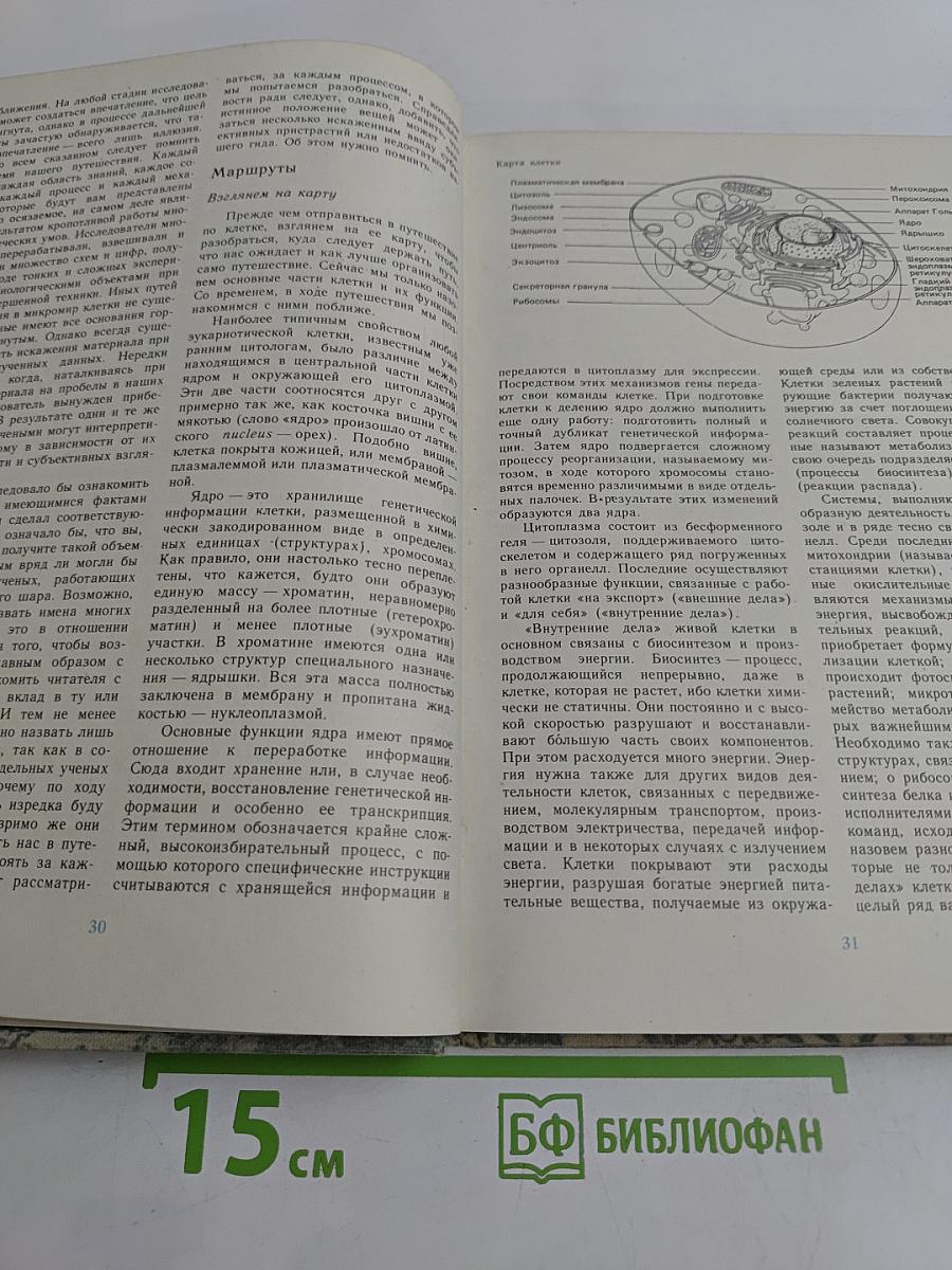Путешествие в мир живой клетки