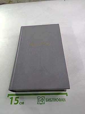 Пора надежд. Возвращение домой