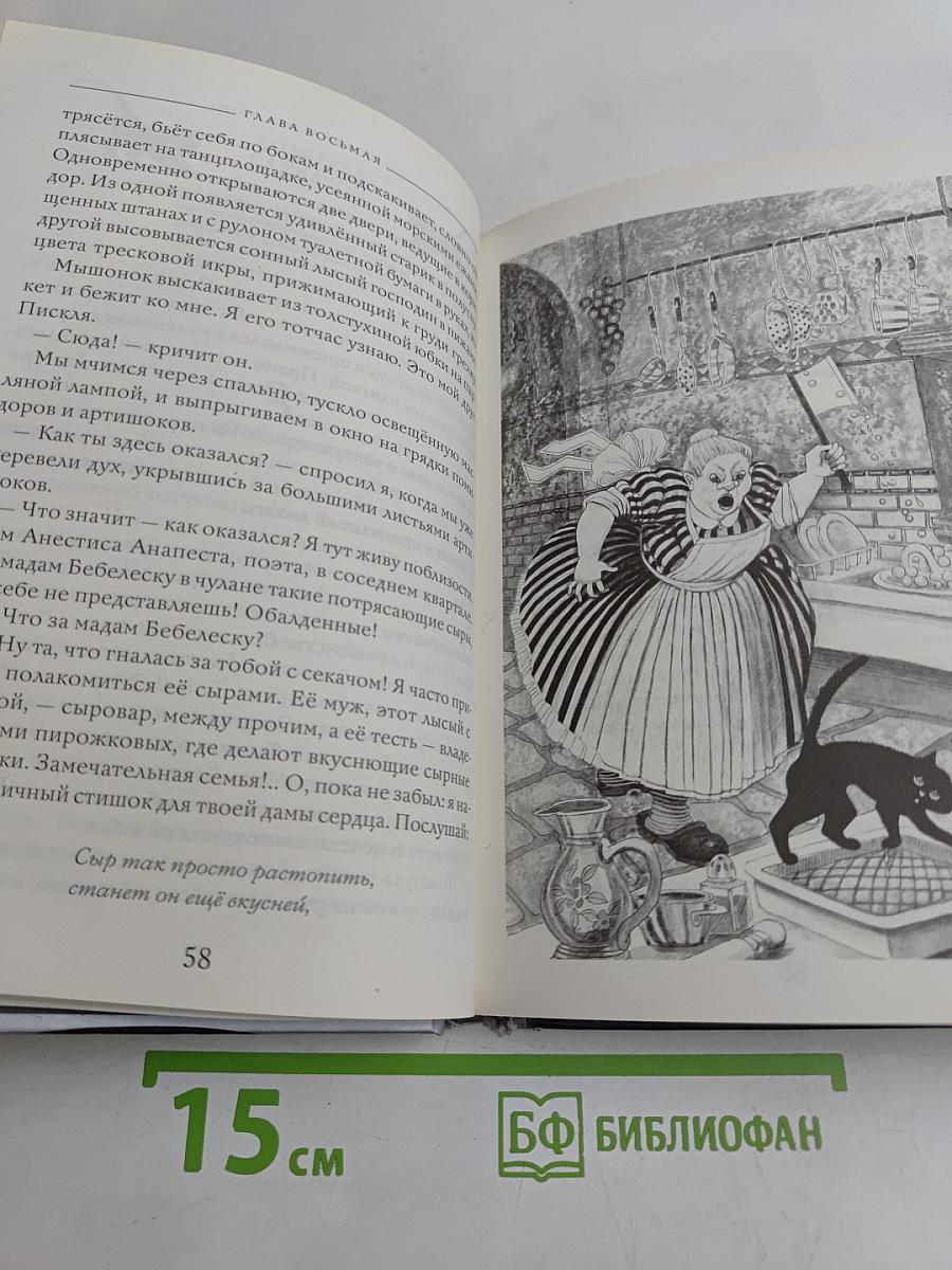 Последний чёрный кот