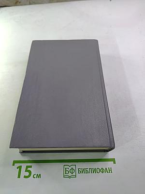 Пора надежд. Возвращение домой