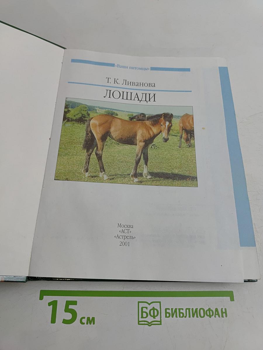 Лошади