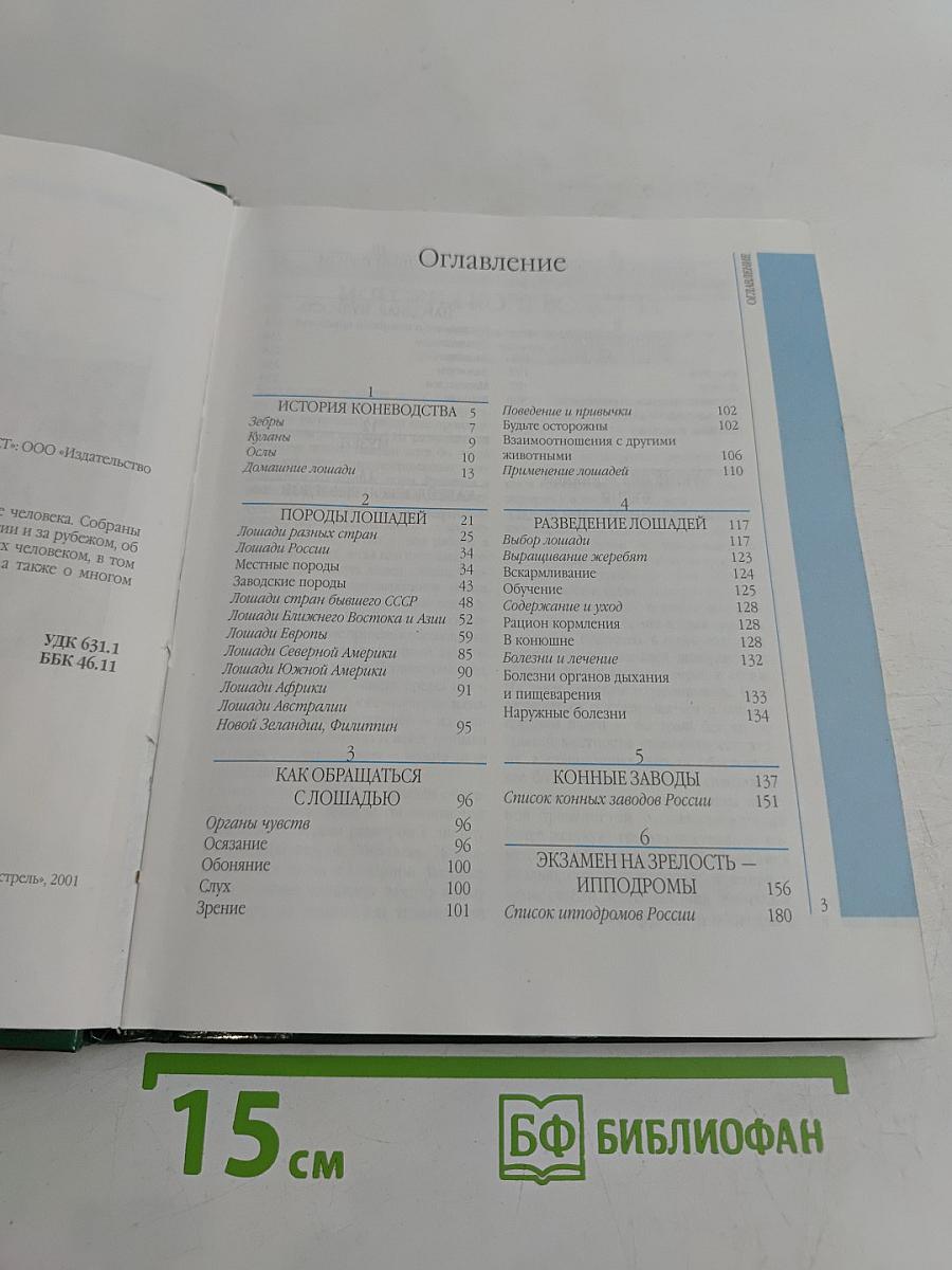 Лошади