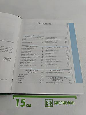 Лошади