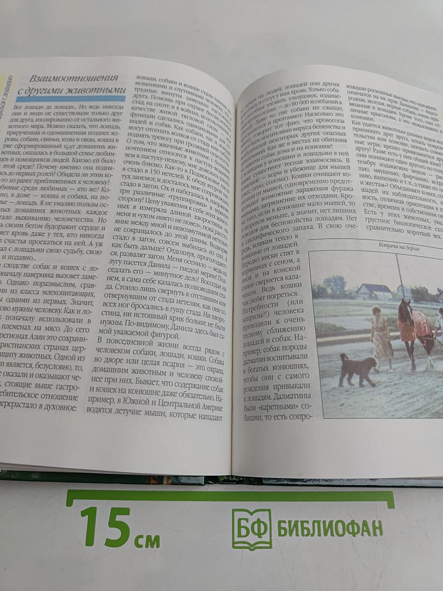 Лошади