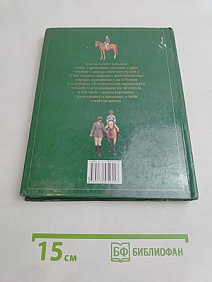 Лошади