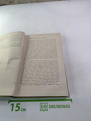 Размышления читателя