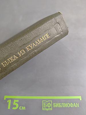 Похищение быка из Куальнге