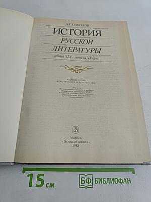 История русской литературы конца XIX – начала XX века